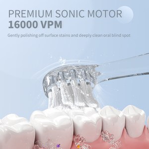 แปรงสีฟันไฟฟ้า SG2113เด็ก Seago 16000 VPM การสั่นสะเทือนอย่างอ่อนโยน OEM ฉลากส่วนตัวพร้อมขนแปรงอ่อนนุ่มดีไซน์น่ารัก - Product Image 6