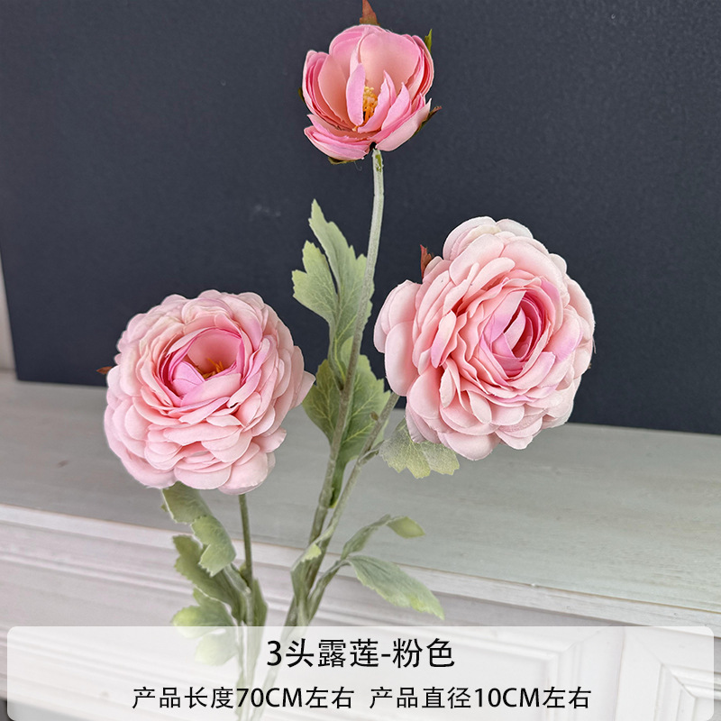 Lotus Rosé à Trois Têtes