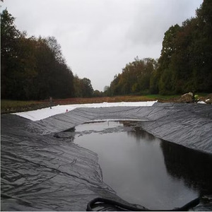 Geomembranas HDPE Liner üretici fiyat gölet için 1.2mm 1.5mm Hdpe geomembran - Product Image 4