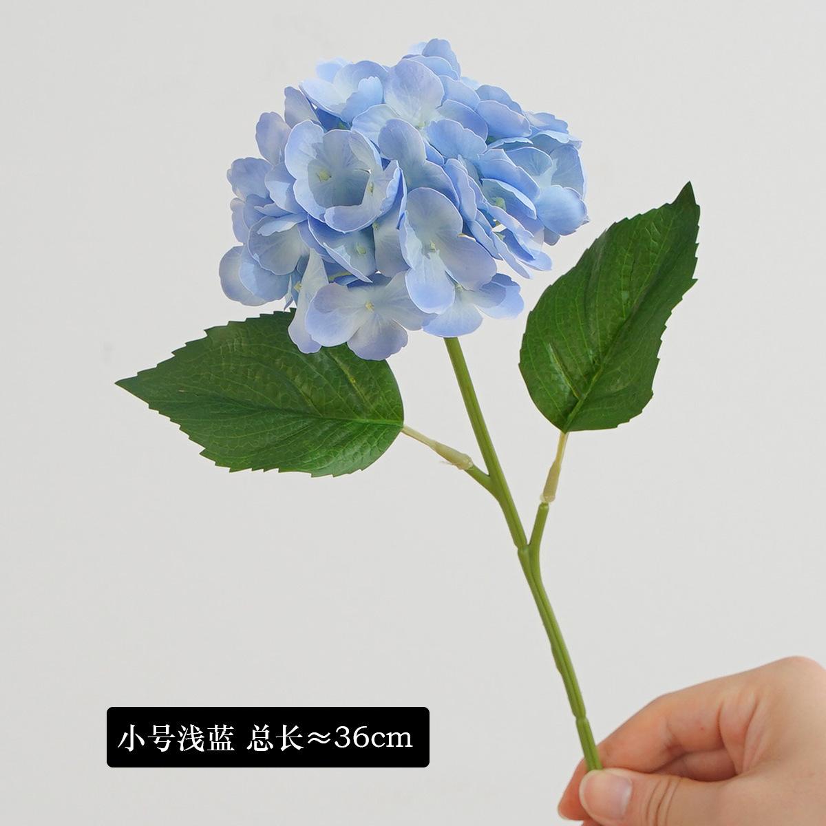Bleu clair