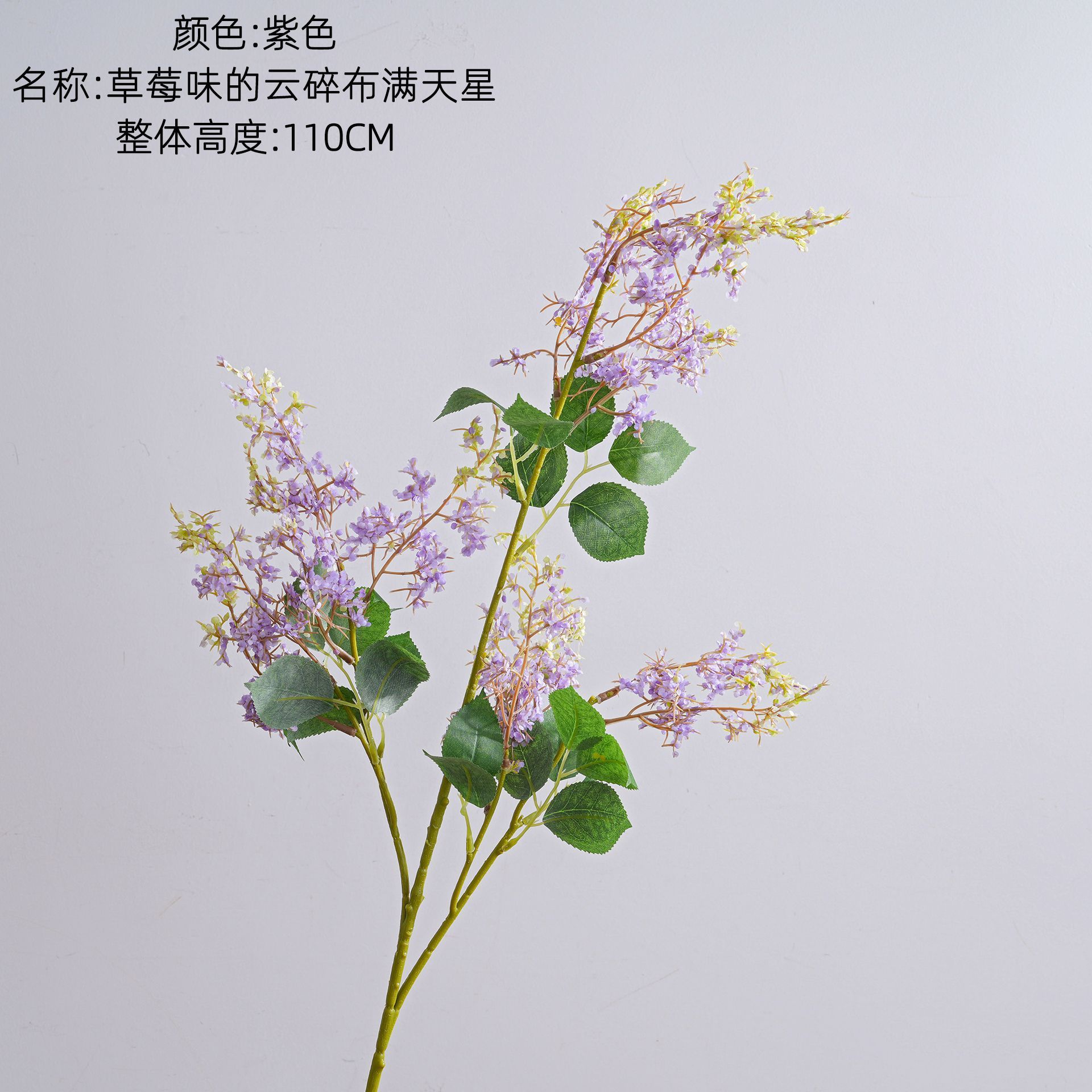 สีม่วง