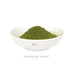 Hierba gatera de juguete para gato, extracto orgánico de hoja, aceite en polvo, hierba gatera, juguete, directo de fábrica - Product Image 5