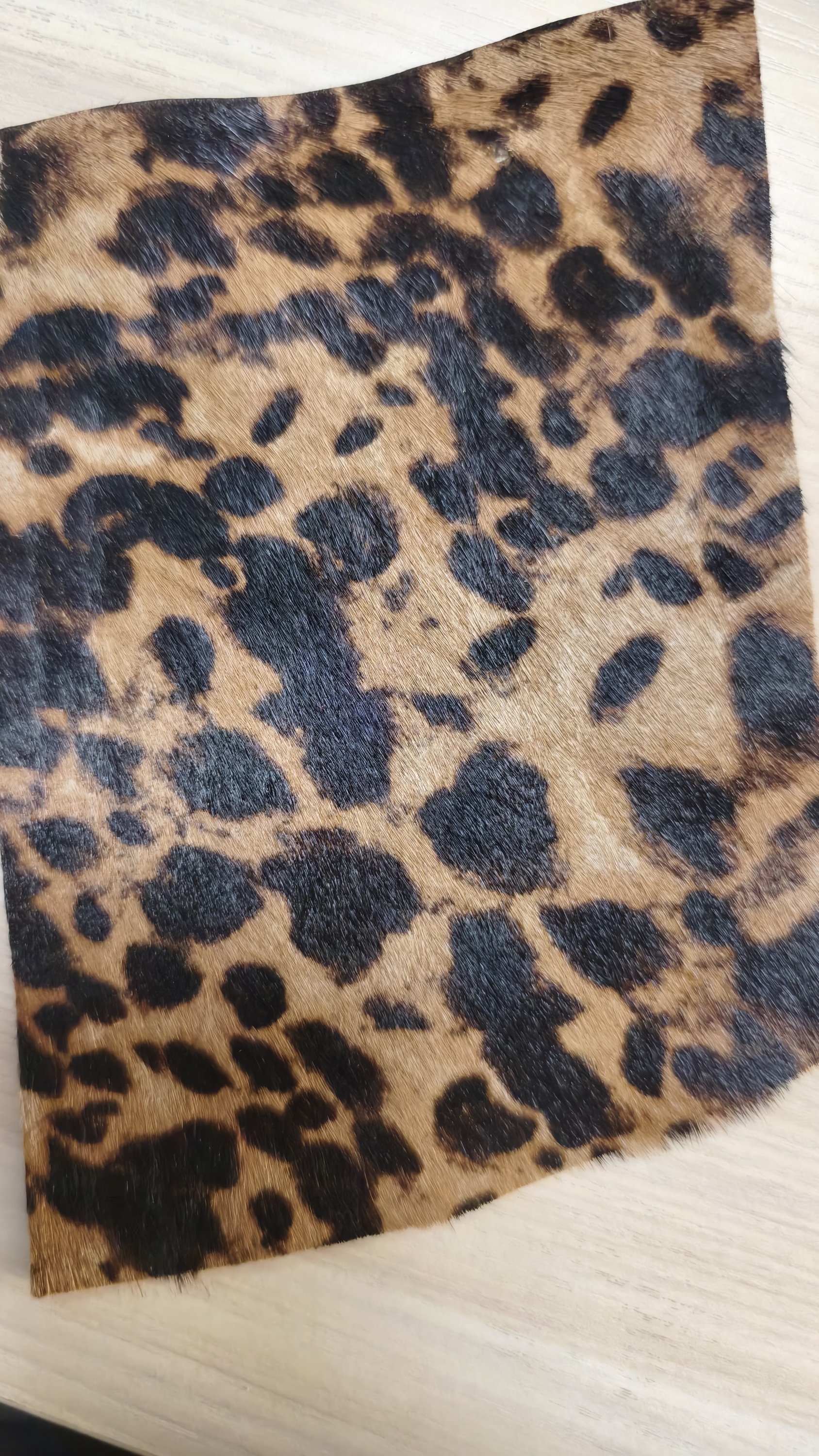 small leopard