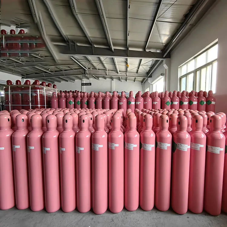 カラーカスタム工場卸売ポータブルスチール構造CO2カートリッジ消火器CO2シリンダー