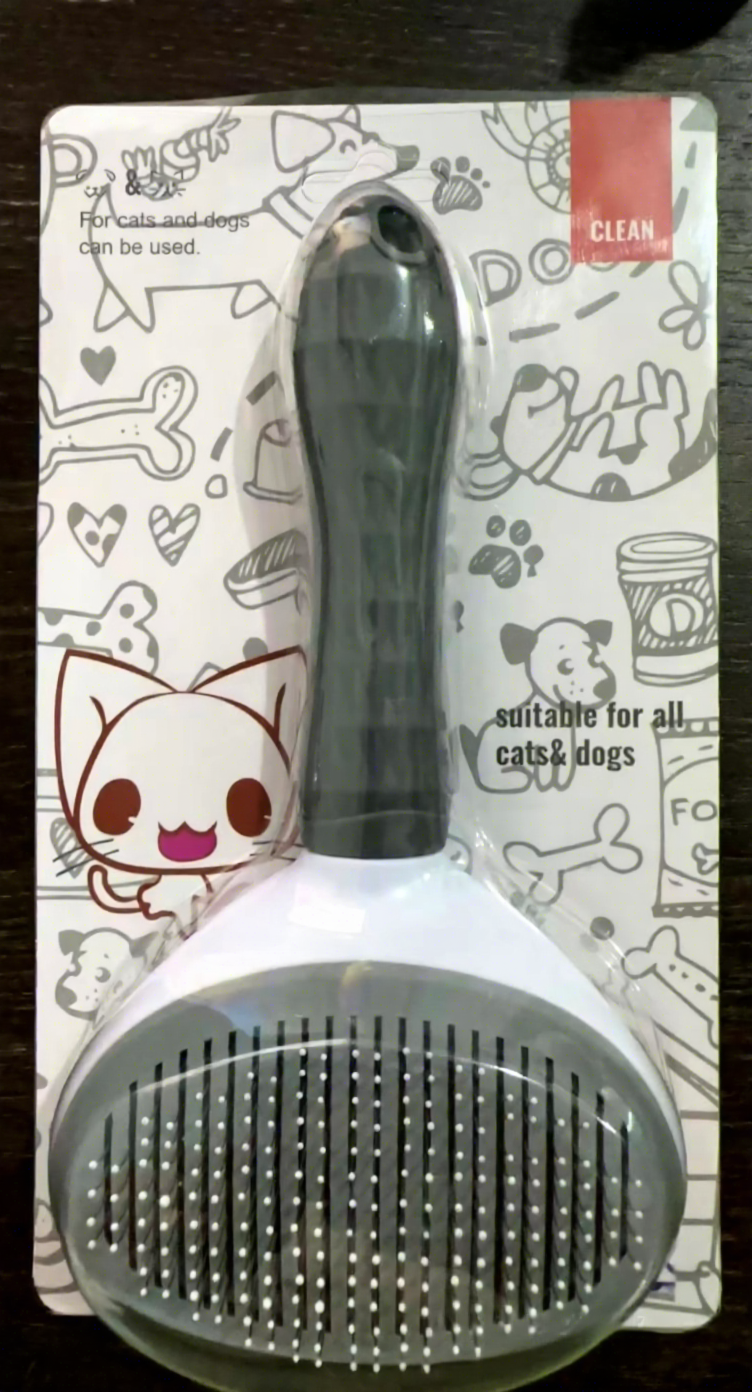 Gray With PP Needle in Plastic Cardboard Packaging
