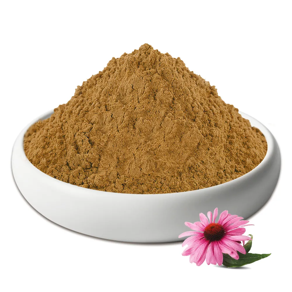 Hot Sales Echinacea Purpurea Flower Extract 4% polyphenols powder