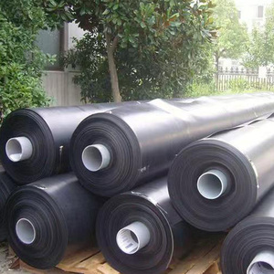 Factory Low Price Customization <strong>Hdpe</strong> Geomembrane 0.35mm - Product Image 6