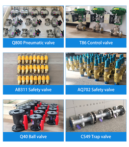 Vana Z631 pirinç yollu doğrudan etkili Pilot kumandalı diyafram yüksek basınç düşük sıcaklık sıvı azot oksijen Solenoid vana - Product Image 5