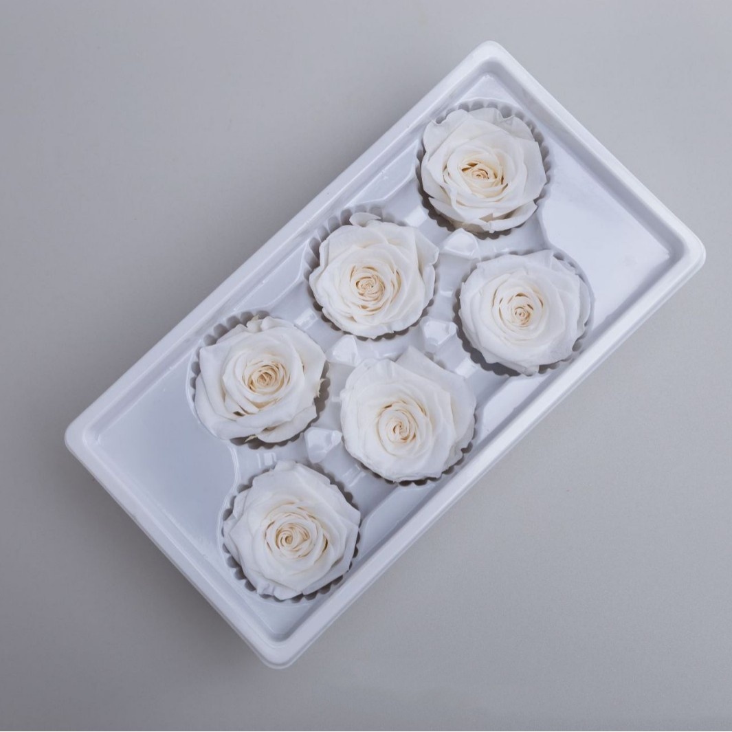 White 5-6cm