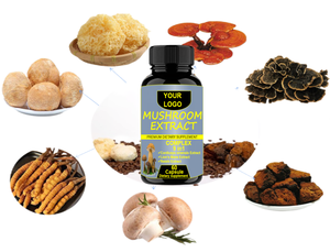 Löwen mähnen pilz kapseln für kognitive Funktion und Immun unterstützung Gehirn zusätze für Gedächtnis und Fokus - Product Image 3
