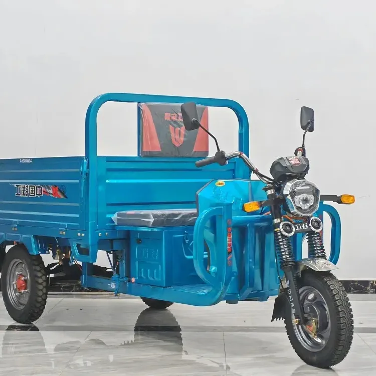 Настраиваемый гидравлический саморазряжающий грузовой Электрический трехколесный велосипед для взрослых с высокой мощностью