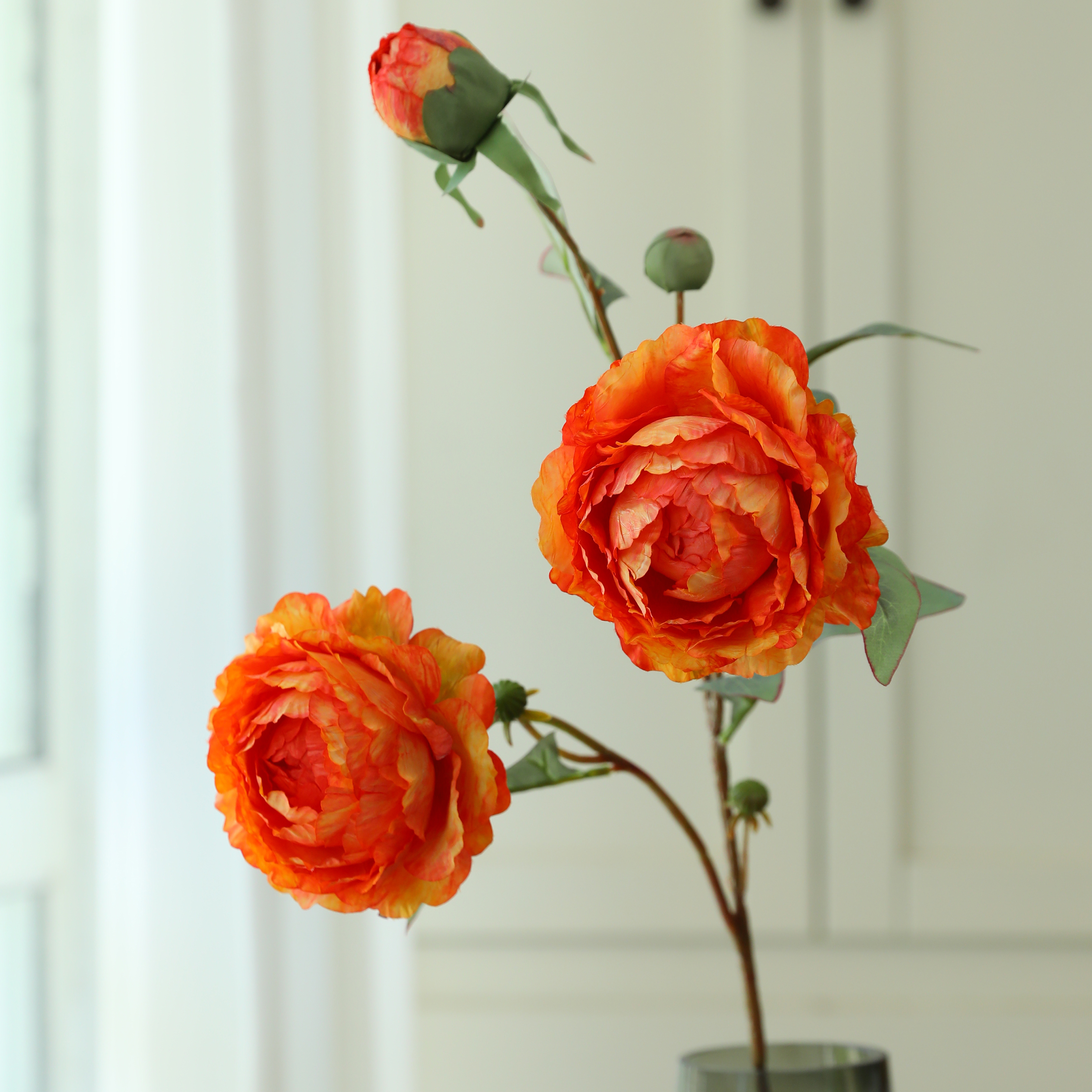 Arancione