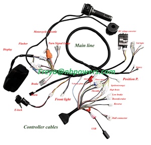 QS Mid Drive Motor 72V3000W 138-<strong>C</strong> V3 70H 100kmph Mid Drive Motor Motorcycle Harness Wiring Fardriver <strong>Program</strong> Controller DKD - Product Image 4