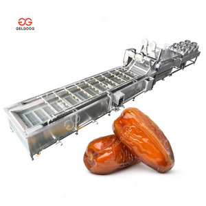 Barhee Medjool Jujube pulizia e asciugatrice linea di imballaggio palmare data lavatrice e data di smistamento - Product Image 4
