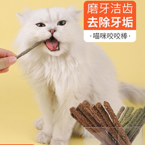 Catnip Cat Chew Stick Box Paquete Fresh Breath Cat Toys Natural Silvervine Sticks Catnip Cats Chew Toy - Product Image 2
