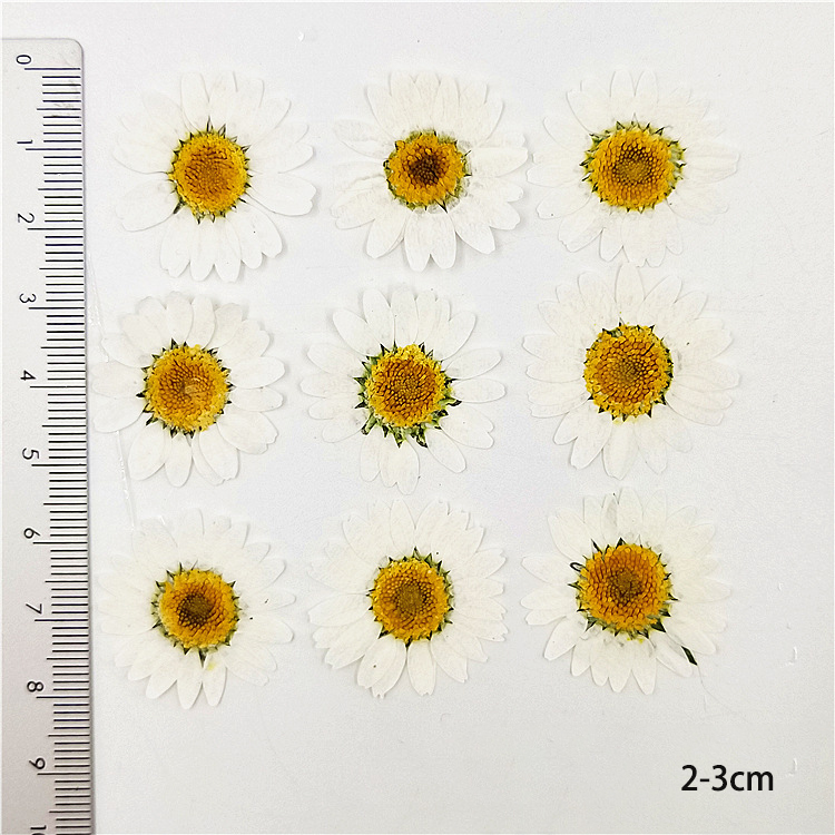 2-3cm