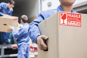 Factory-direct Supply of Fragile Warning Labels Supports Customized Wholesale Prices for Global Customers - Product Image 6