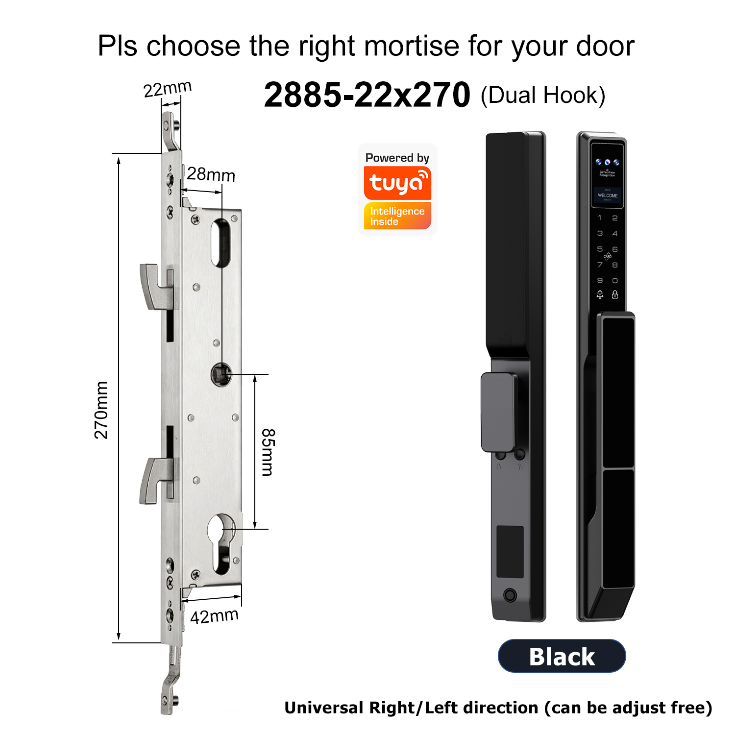 Z5 with 2885 Dual-Hook Multi-Point Mortise(22x270mm)