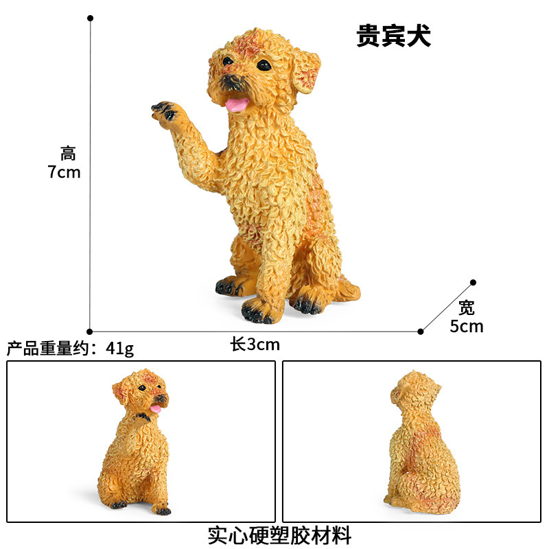 Zjs-146 Poodle