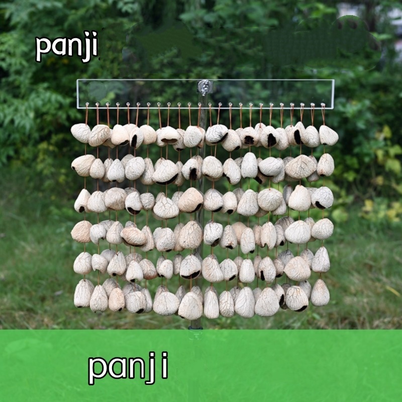 Panji