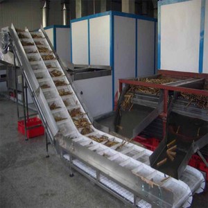 Macchina per l'alimentazione dei granuli di frutta secca,