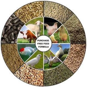 Futterverarbeitungsmaschine Maschinen tierfuttermittelpellet machen hausgebrauch vollständige Hühnerfuttermaschine Pellet-System - Product Image 2
