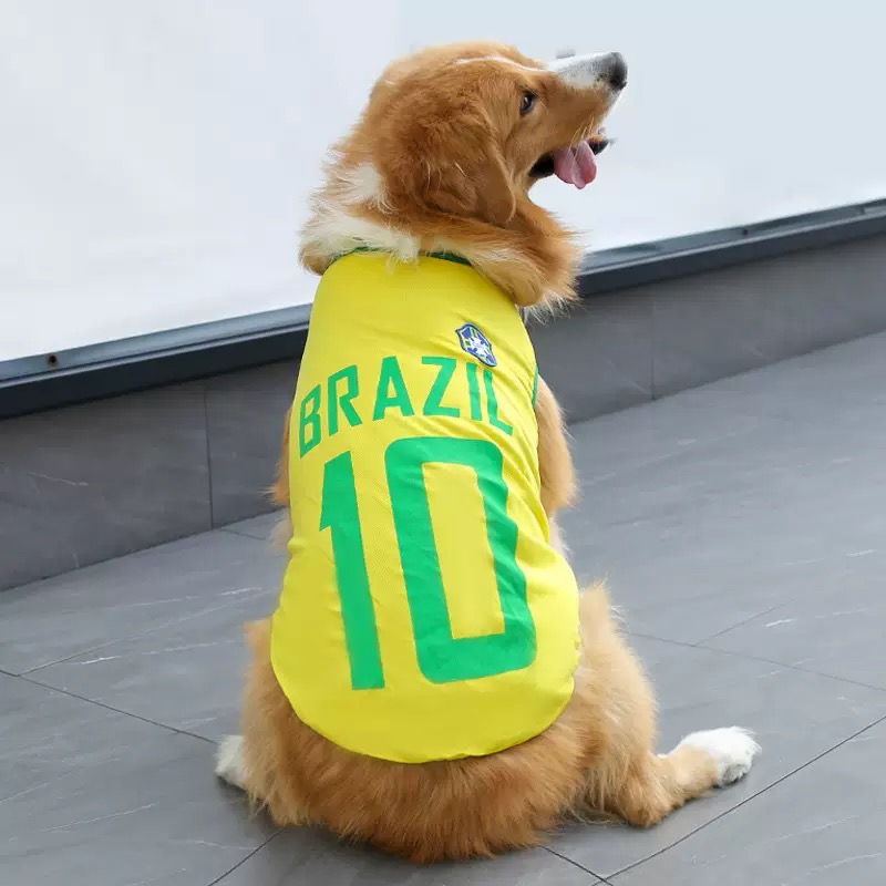 Amarillo No.10 Brasil