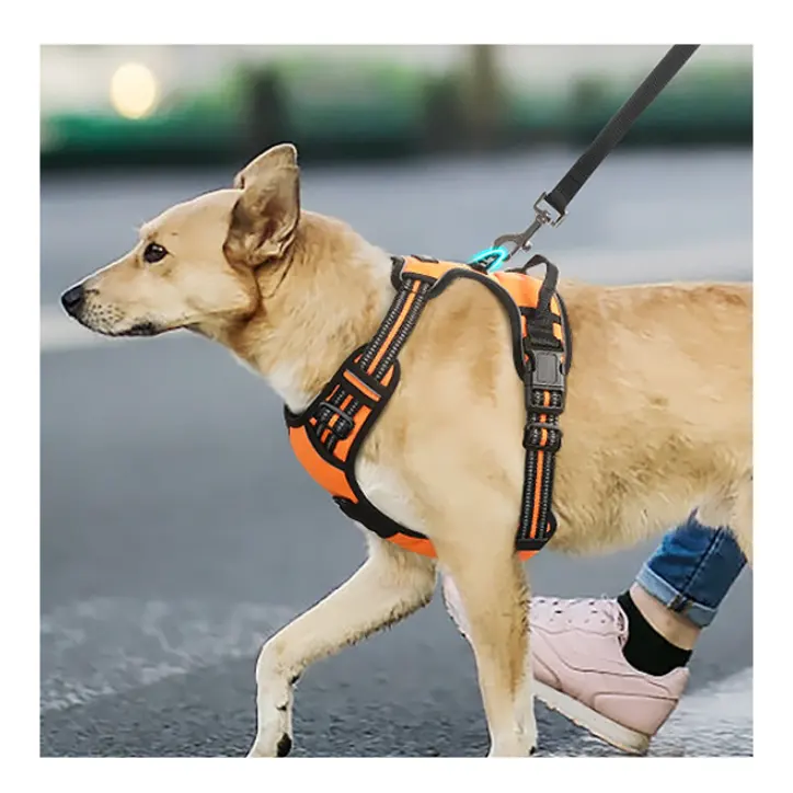 Arnés y correa de perro con luz reflectante personalizada, arnés ajustable para perro, chaleco de nailon suave, conjunto de arnés para perro mascota
