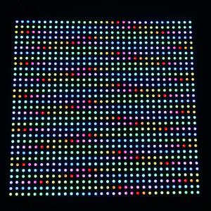 WS2812B Digitale flexible Programmierung 30*30 8*32 16*16 Pixel 1024 Pixel LED-Panel-Matrix