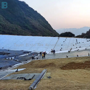 Modern tasarım EPDM gölet Liner Fish 60mil 30mil HDPE PVC LLDPE EVA LDPE su geçirmez membran levha Anti-UV özelliği balık gölet için - Product Image 4