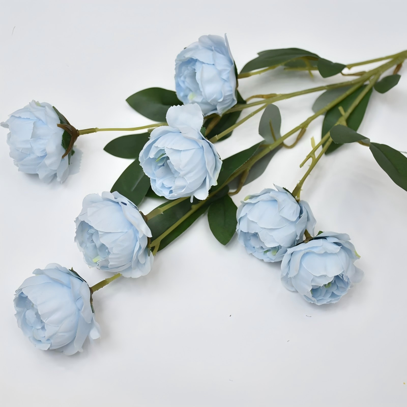 Bleu clair
