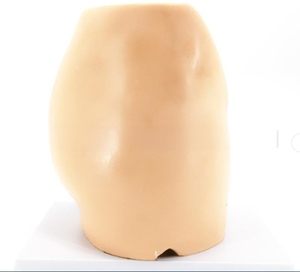 人間の子宮モデル、女性の繁殖システムモデル - Product Image 6