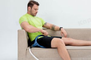 Magnetoterapia-Therapie PEMF Equine PMST Loop für Pferd Gauß-Therapie Geräte therapie Emtt Device - Product Image 3