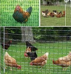 Estruso di alimentazione di pollame compensazione netto di pollo pollame pollo rete recinzione
