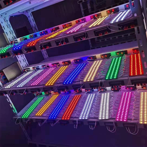 Reklam DC 12V 1.2W 1.5W LED modül lamba soğuk beyaz kırmızı mavi sarı pembe yeşil enjeksiyon 2835 Led modül lamba - Product Image 3