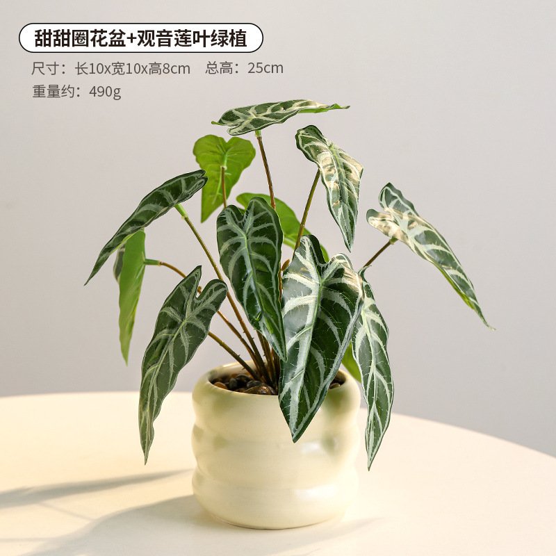 Donut vase guanyin lotus leaf green plant