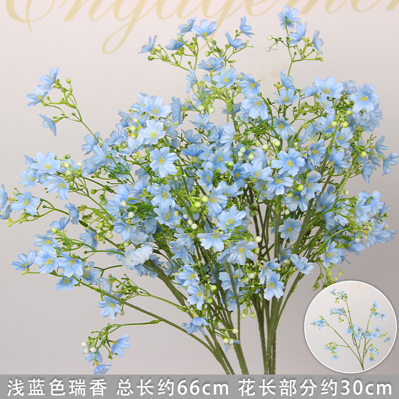 Branche de daphné bleu clair