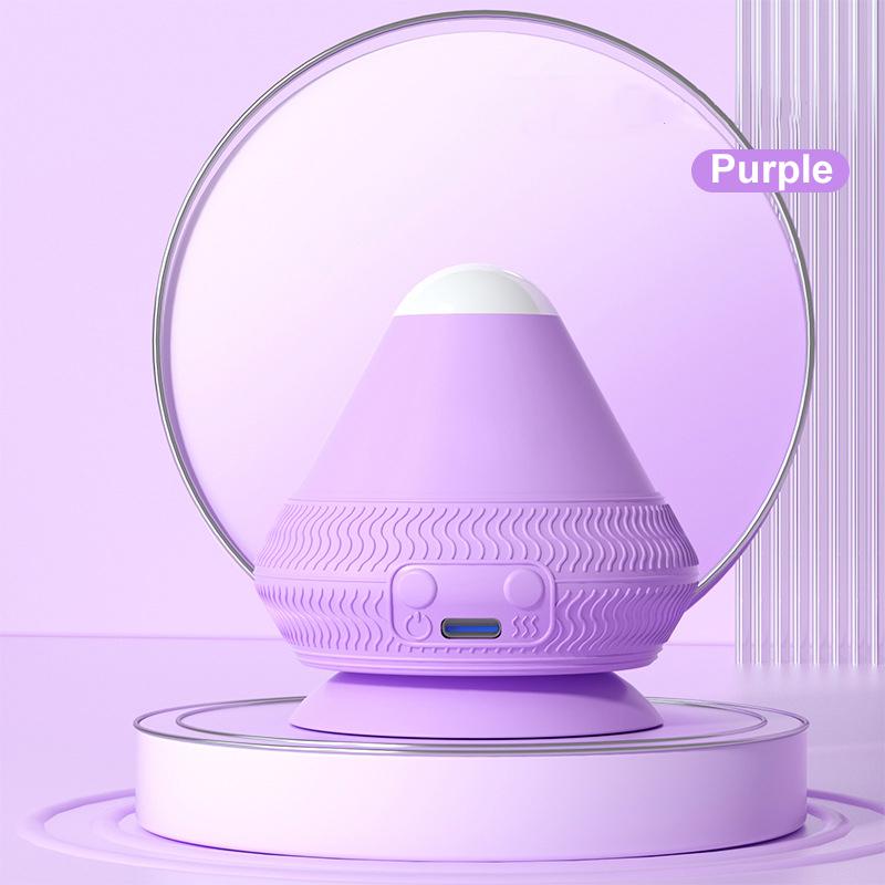 New electric model-roland purple