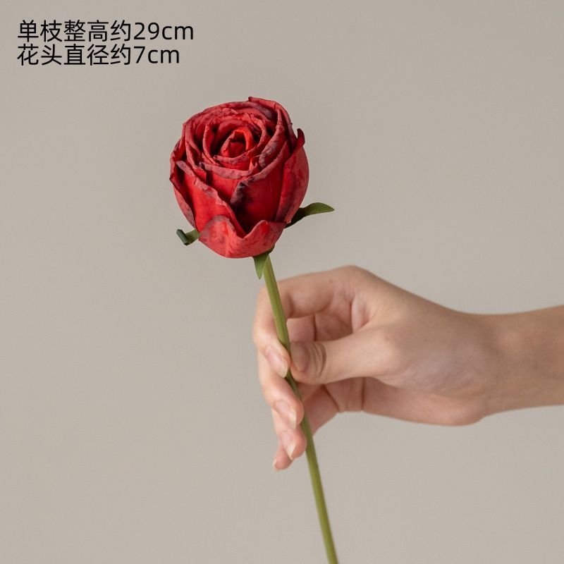 Une rose diamant à bords rouges.