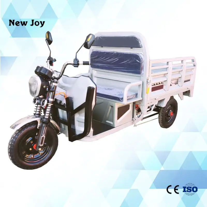 Popolare di alta qualità 60V 30AH 45AH 52AH 1000W tre ruote triciclo elettrico cargo triciclo elettrico