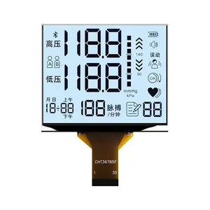 Custom Professional Medical Instrument 7-Segment <strong>LCD</strong> <strong>Display</strong> Cog Type with ST7789 Driver IC - Product Image 3