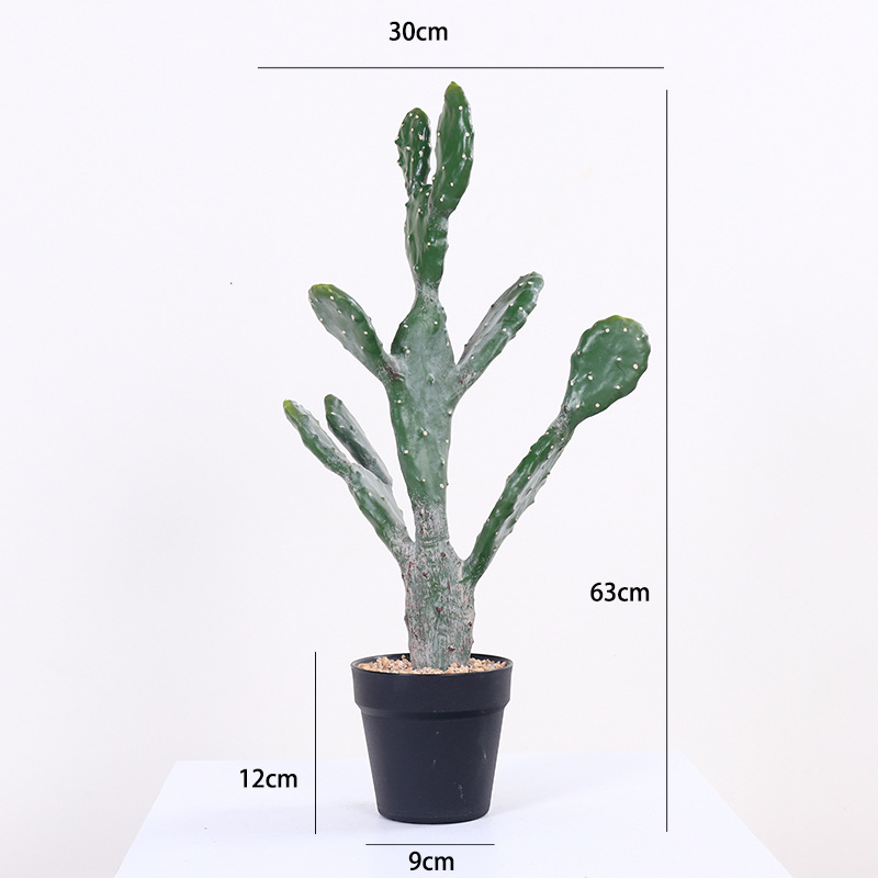 63cm