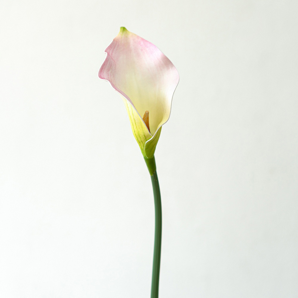 6 # rose clair