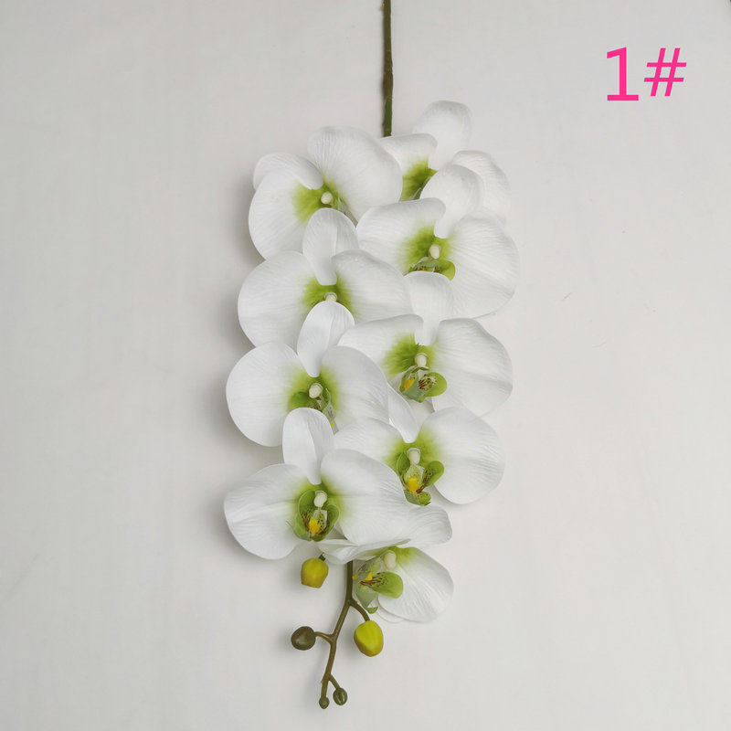 style1 white green