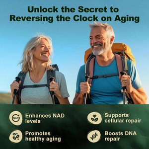 Liposomal nicotinamide riboside viên nang thay thế cho nicotinamide riboside hoặc nadh để tăng NAD cho năng lượng phòng thủ lão hóa - Product Image 3