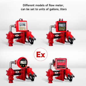 Bộ bơm định lượng chống nổ hiệu suất cao, di động, dùng cho dầu diesel, xăng, dầu hỏa, xăng dầu, 12V 24V - Product Image 2