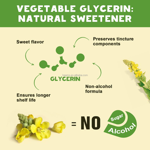 Özel etiket organik Mullein yaprağı ekstresi akciğer detoks için hızlı emici bitkisel sıvı takviyesi bırakın ve temizleyin - Product Image 3