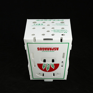 カスタマイズされた<span class=keywords><strong>PP</strong></span>スイートコーンボックスプラスチックアスパラガスボックス段ボールプラスチックボックス