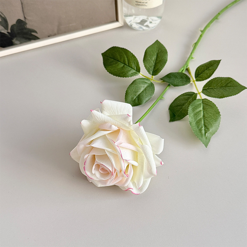 Polvo blanco, borde grande con flor de 12 cm.
