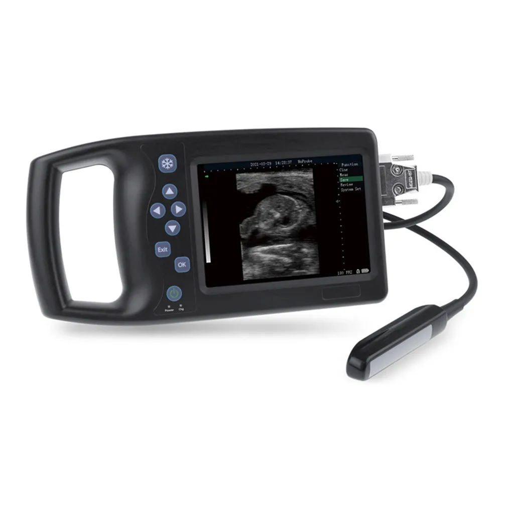 Macchina ad ultrasuoni veterinaria portatile con display a LED da 5.7 pollici con funzione di riproduzione di film con cornice 256 e backfat automatico